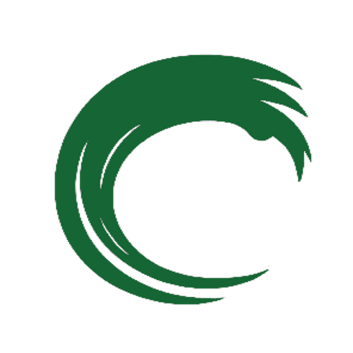 DB Destiny Logo